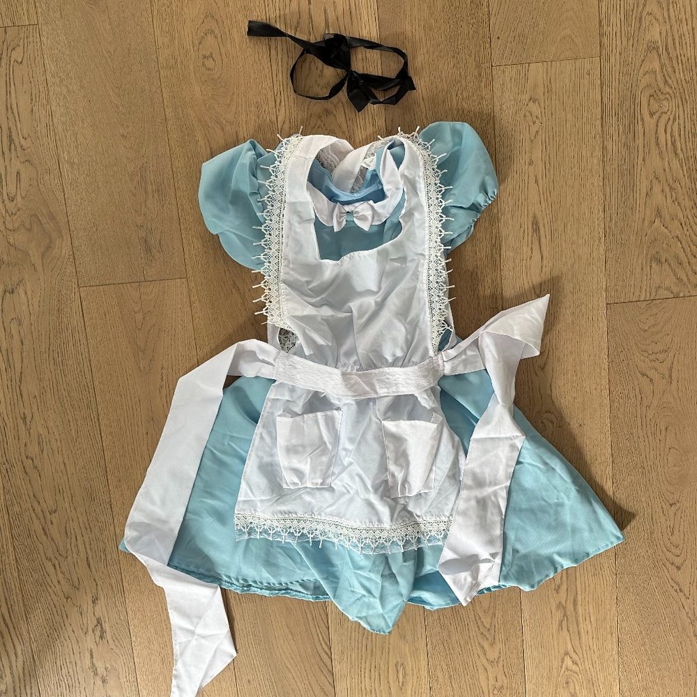 Alice in Wonderland Costume